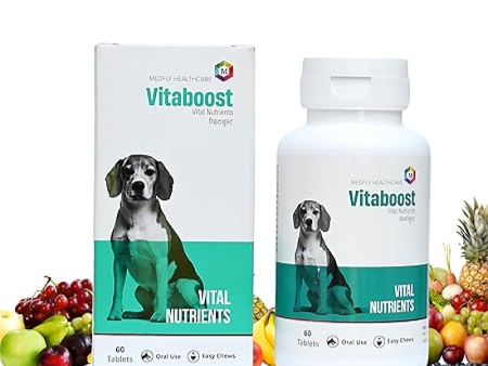 Medfly Healthcare Vitaboost for Dogs and Cats (Pack of 60 Tablets) Online