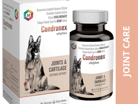 Medfly Healthcare Condronex Tablets for Joint Health & Mobility for Dogs on Sale