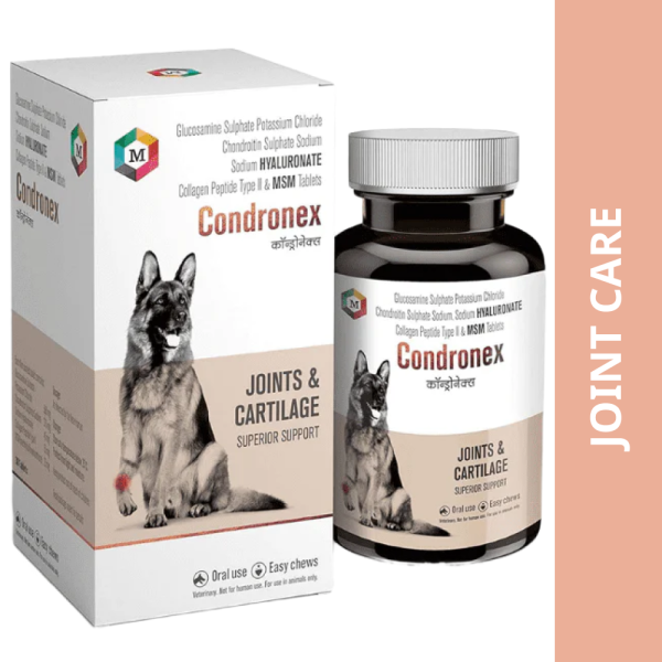 Medfly Healthcare Condronex Tablets for Joint Health & Mobility for Dogs on Sale