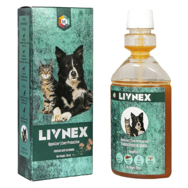 Medfly Healthcare LivNex Syrup for Dogs and Cats (250ml) Online Hot Sale