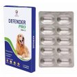 Medfly Healthcare Defender Pro Dewormer for Dogs Hot on Sale