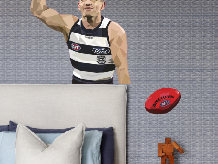 Joel Selwood Decal For Discount