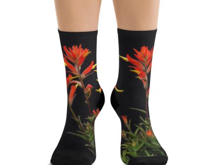 Franciscan Paintbrush Wildflowers Eco-Friendly Socks Cheap