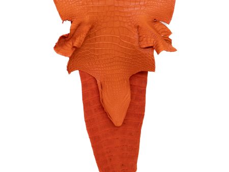 39 cm Grade 2 3 Orange Matte Farm American Alligator Leather - Tag: FL17-0052795 For Cheap