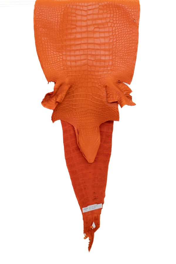 39 cm Grade 2 3 Orange Matte Farm American Alligator Leather - Tag: FL17-0052795 For Cheap