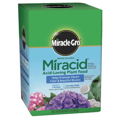 Miracle-Gro Water Soluble Miracid Acid-Loving Plant Food (30-10-10) Online Sale