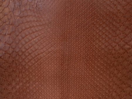 2.42 M Front Cut Rust Matte Python Leather For Sale