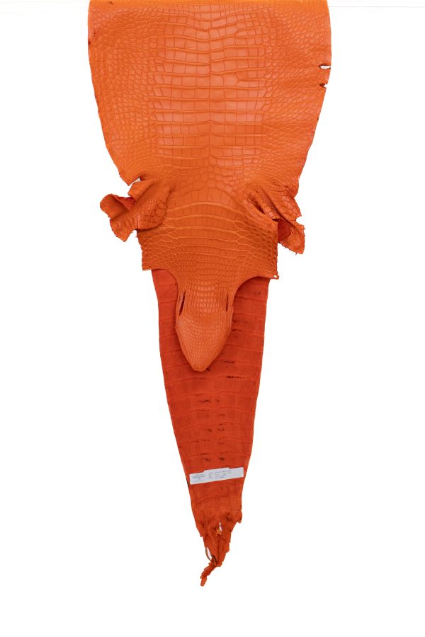 40 cm Grade 2 3 Orange Matte Farm American Alligator Leather - Tag: FL17-0052766 Online Sale