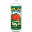 FoxFarms Grow Big Liquid Plant Food Online Sale