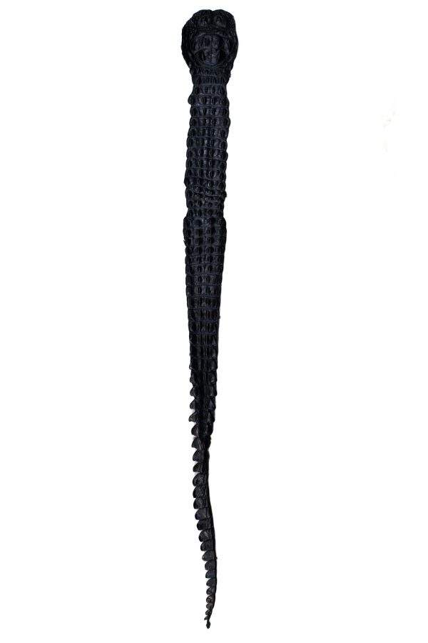 100-109 cm Grade 1 Black Matte Nile Crocodile Backstrap Leather For Cheap