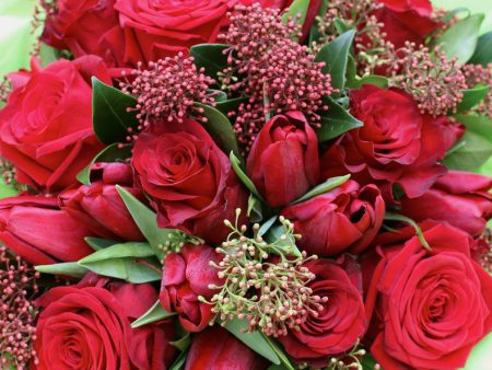 Ruby Red Rose and Tulip Bouquet Online