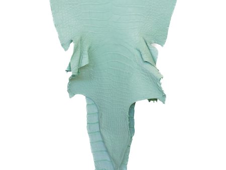 46 cm Grade 3 4 Mint Green Matte Wild American Alligator Leather - Tag: LA22-0029883 Online Sale