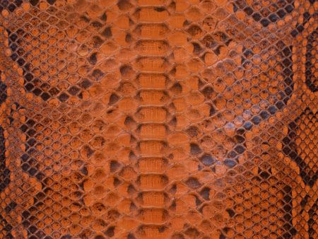 2.16 M Back Cut Orange Matte with Natural Marking Python Leather Cheap