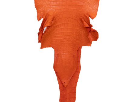 45 cm Grade 2 3 Orange Matte Wild American Alligator Leather - Tag: LA22-0013656 Discount