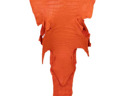 45 cm Grade 2 3 Orange Matte Wild American Alligator Leather - Tag: LA22-0018106 Cheap